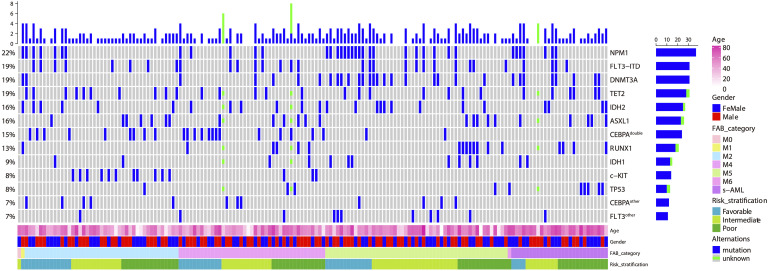 Clinical Characteristics and Outcomes of Acute Myeloid Leukemia Patients Harboring <i>NPM1/FLT3-ITD/DNMT3A</i> Triple Mutations and the Potential Prognostic Value of <i>GNG4</i>.