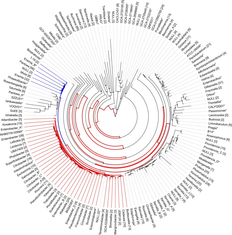 Role of the LuxR solo, SdiA, in eavesdropping on foreign bacteria.