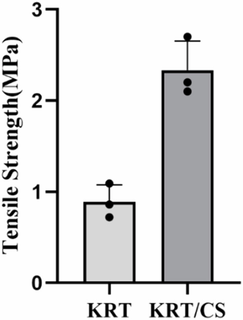 Keratin/chitosan film promotes wound healing in rats with combined radiation-wound injury
