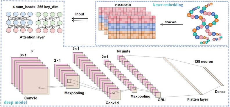 EnsembleSE: identification of super-enhancers based on ensemble learning.