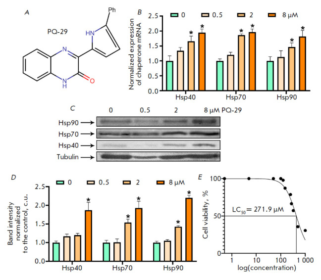 Induction of Chaperone Synthesis in Human Neuronal Cells Blocks Oxidative Stress-Induced Aging.