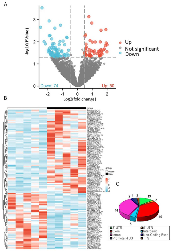 The Impact of Obesity on Autophagy in Human Adipose-Derived Mesenchymal Stromal Cells.