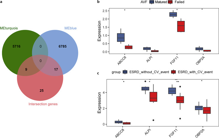 Uncovering Candidate Genes Associated with Cardiovascular Disease in Patients with Arteriovenous Fistula and End-Stage Renal Disease.