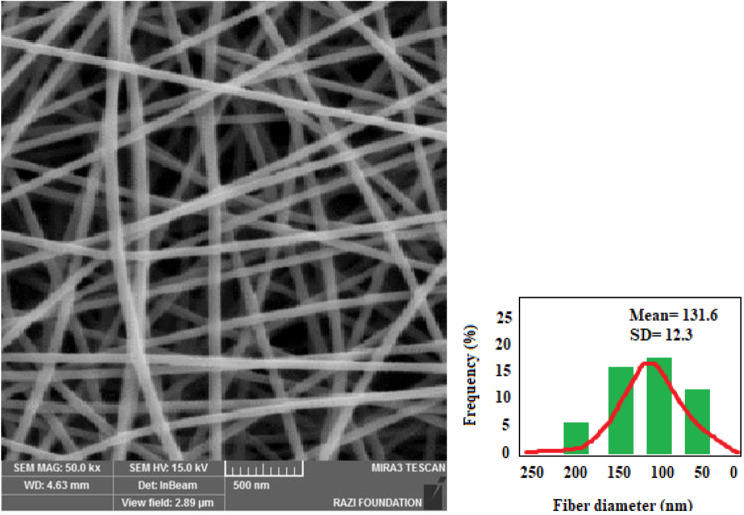 Early osteogenic differentiation of human dental stem cells by gelatin/calcium phosphate- Punica granatum nanocomposite scaffold.