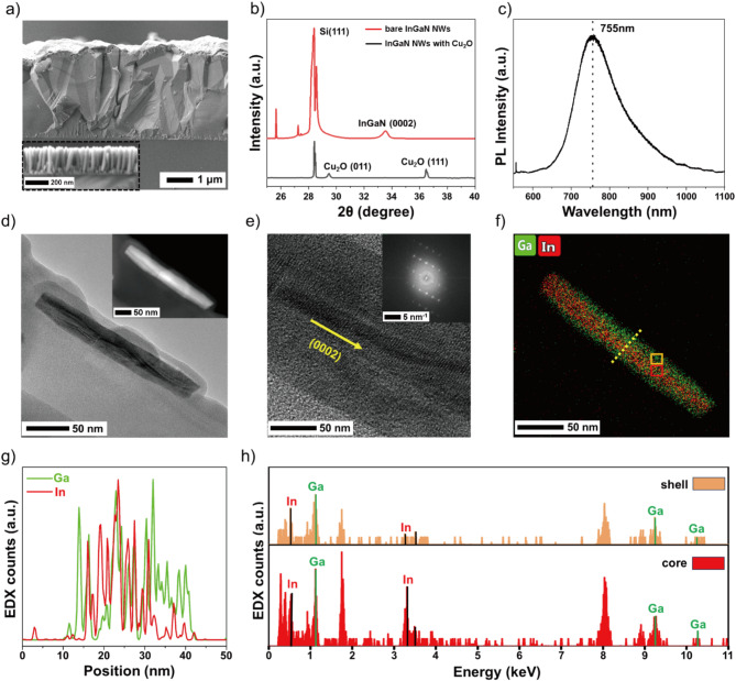 A photodetector for red and green with balanced negative and positive photocurrent for imaging is realized.