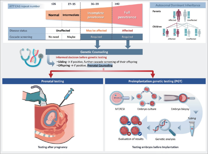 A Practical Guide for Diagnostic Investigations and Special Considerations in Patients With Huntington's Disease in Korea.