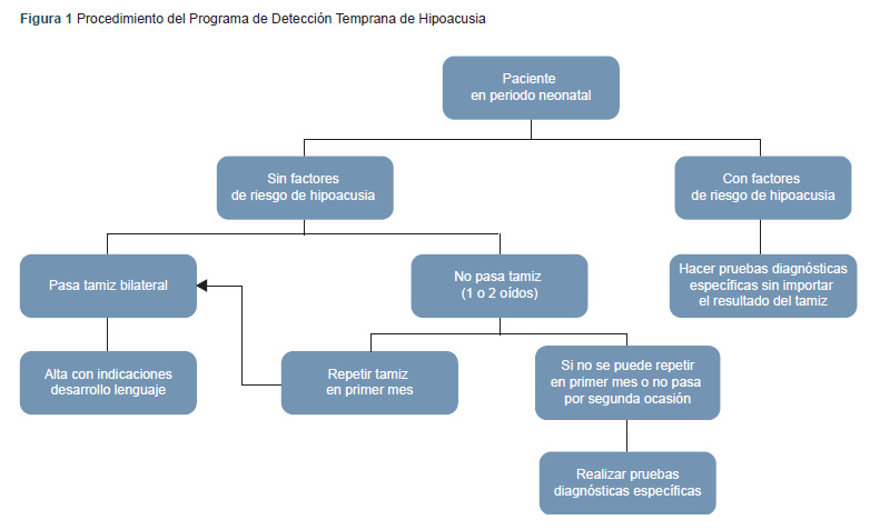 [Early detection program for hearing loss at Bajio's National Medical Center].
