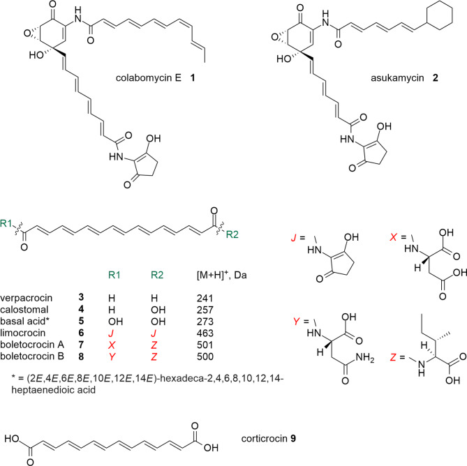 Uncovering the genetic basis of antiviral polyketide limocrocin biosynthesis through heterologous expression.