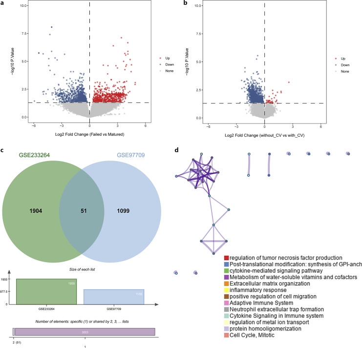 Uncovering Candidate Genes Associated with Cardiovascular Disease in Patients with Arteriovenous Fistula and End-Stage Renal Disease.