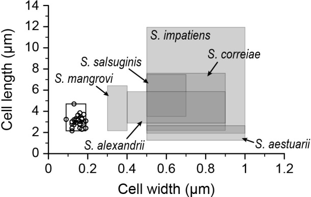 Characterization of a Marine Bacterium Passing through a 0.1-μm Pore-sized Filter.