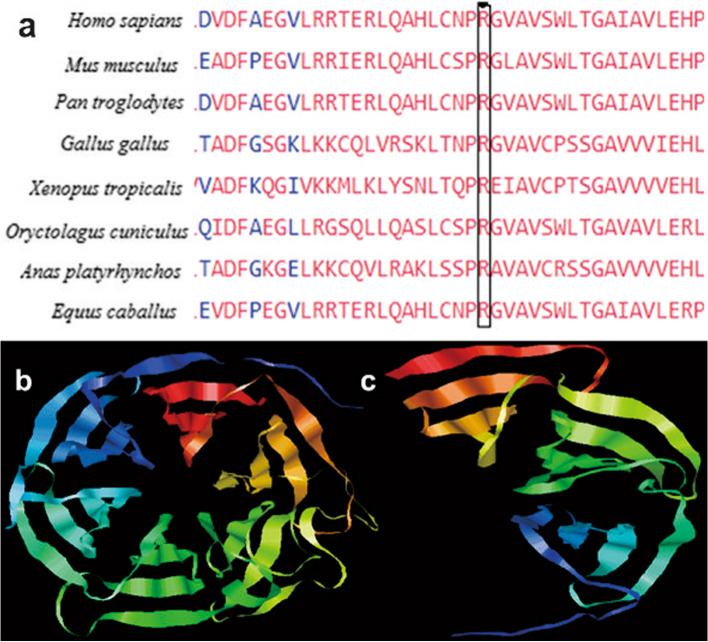 Identification of a pathogenic NHLRC1 variant in a consanguineous Pakistani family affected with severe and rapidly progressive Lafora disease.