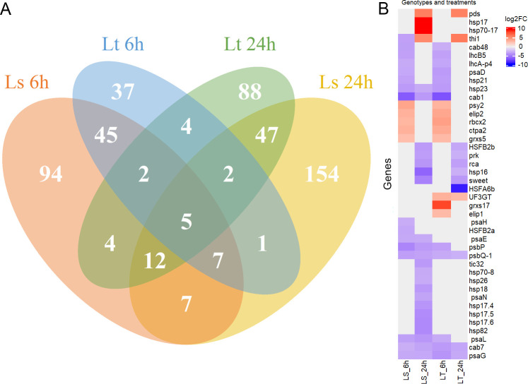 Abstract Image
