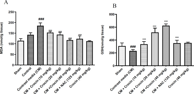 Evaluating the effect of crocin on contrast-induced nephropathy in rats.