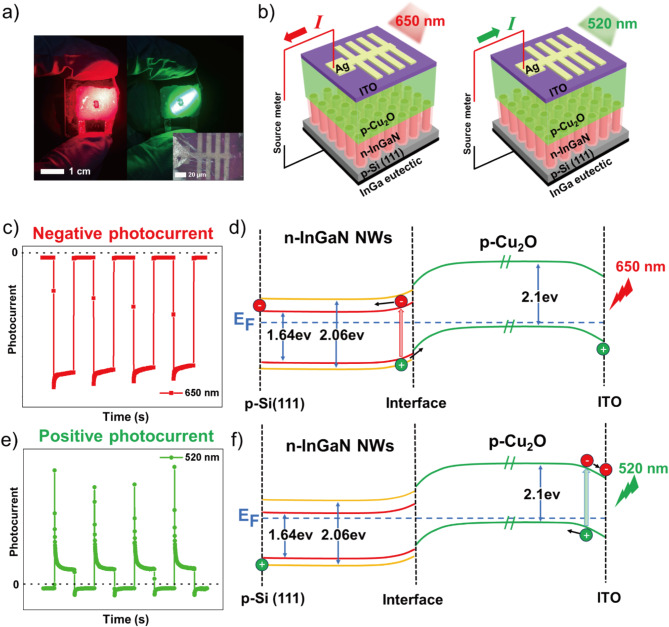 A photodetector for red and green with balanced negative and positive photocurrent for imaging is realized.