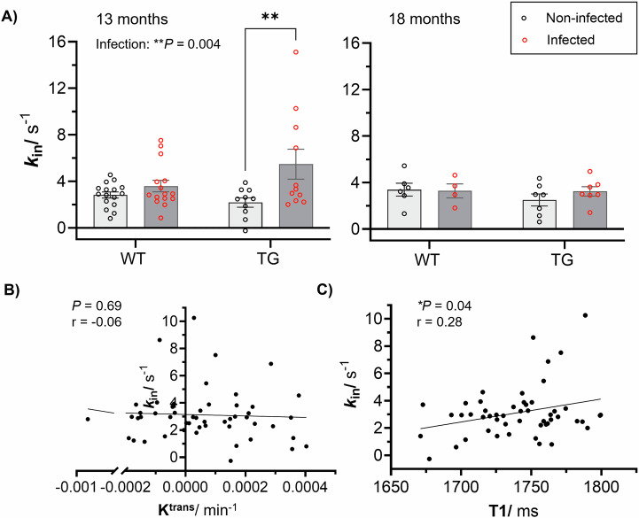 MRI detects blood-brain barrier alterations in a rat model of Alzheimer's disease and lung infection.