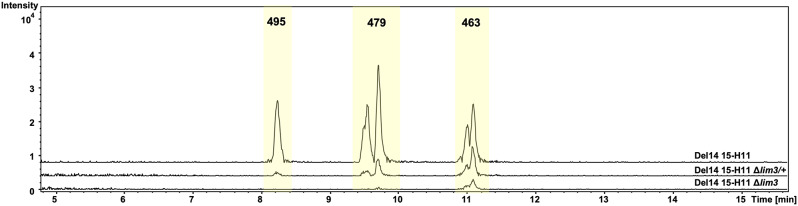 Uncovering the genetic basis of antiviral polyketide limocrocin biosynthesis through heterologous expression.