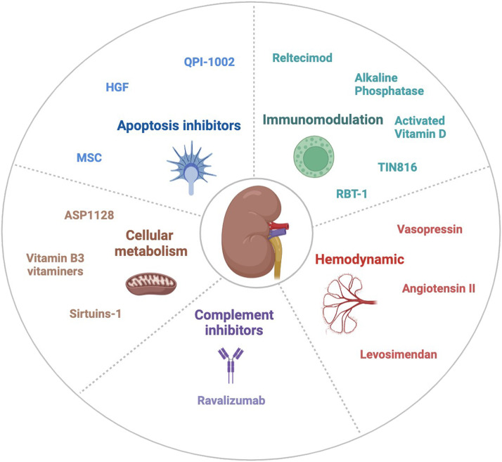 New drugs for acute kidney injury