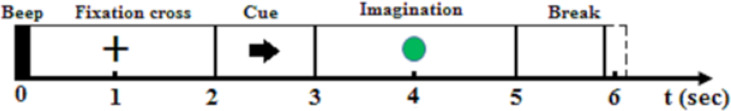 Differential Complexity of Information Processing During Motor Imagination in Adults Versus Children.