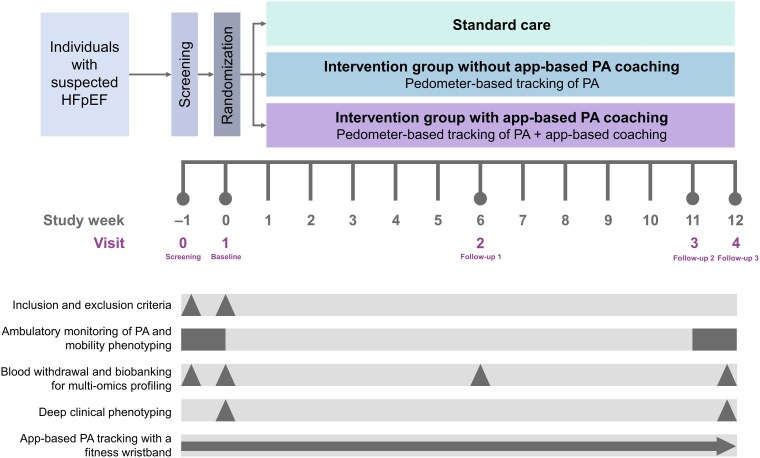 Personalized app-based coaching for improving physical activity in heart failure with preserved ejection fraction patients compared with standard care: rationale and design of the MyoMobile Study.