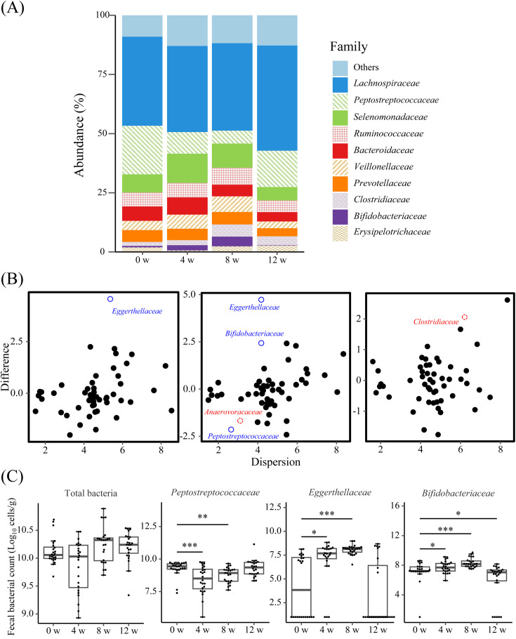 Continuous intake of galacto-oligosaccharides containing syrup contributes to maintaining the health of household cats by modulating their gut microbiota.