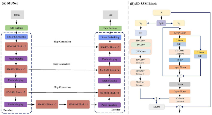 MUNet: a novel framework for accurate brain tumor segmentation combining UNet and mamba networks.