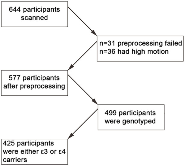 No effect of apolipoprotein E polymorphism on MRI brain activity during movie watching.