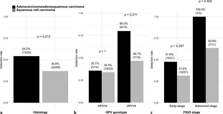 Roles of Cancer Histology Type and HPV Genotype in HPV ctDNA Detection at Baseline in Cervical Cancer: Implications for Tumor Burden Assessment.