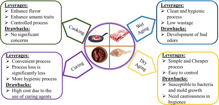 Techniques and Emerging Trends in Flavor and Taste Development in Meat.