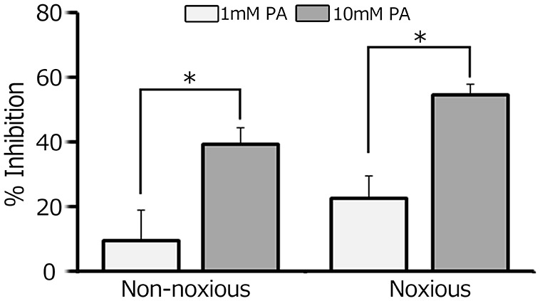 Gut microbiota-derived short-chain fatty acid suppresses the excitability of rat nociceptive secondary neurons via G-protein-coupled receptor 41 signaling.