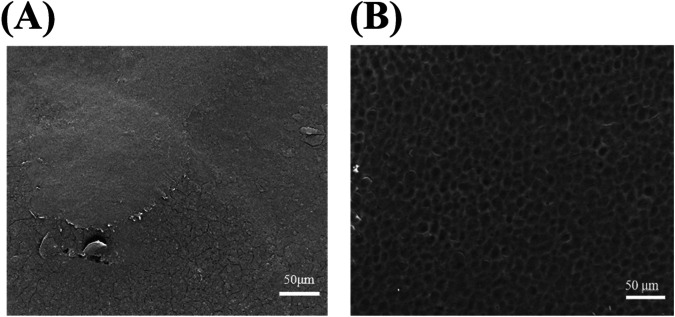 Keratin/chitosan film promotes wound healing in rats with combined radiation-wound injury