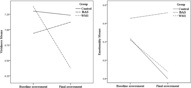 Chilling and Blurring Negative Memories: An Experimental Memory Training Study.