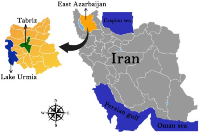 Respiratory and intestinal zoonotic cryptosporidiosis in symptomatic domestic pigeons (<i>Columba livia domestica</i>) in Tabriz, Iran.