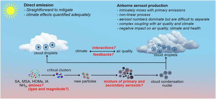 Atmospheric amines are a crucial yet missing link in Earth's climate via airborne aerosol production.