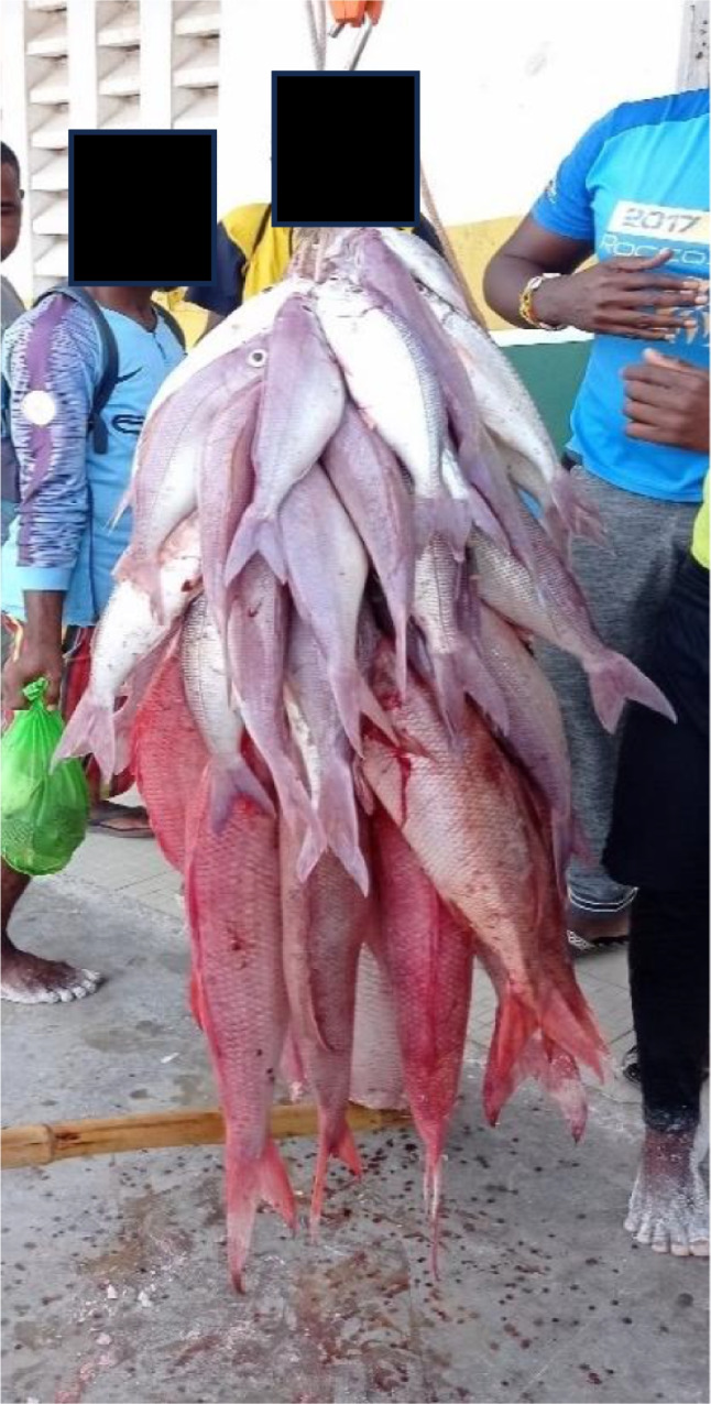 Food, power and agency: revealing local post-harvest fisheries practices to improve food access from small-scale fisheries in coastal Kenya.