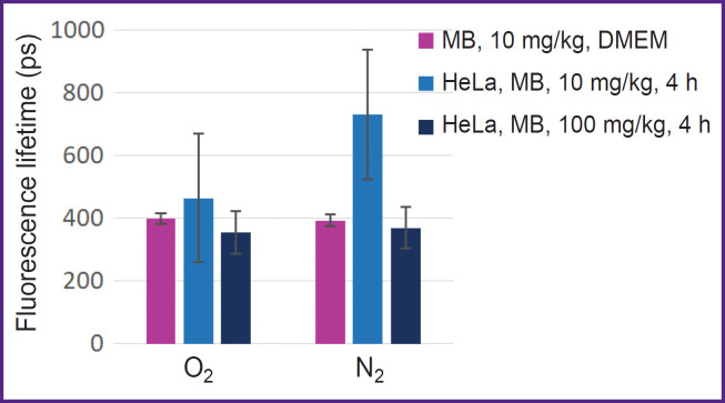 Simultaneous Application of Methylene Blue and Chlorin e6 Photosensitizers: Investigation on a Cell Culture.
