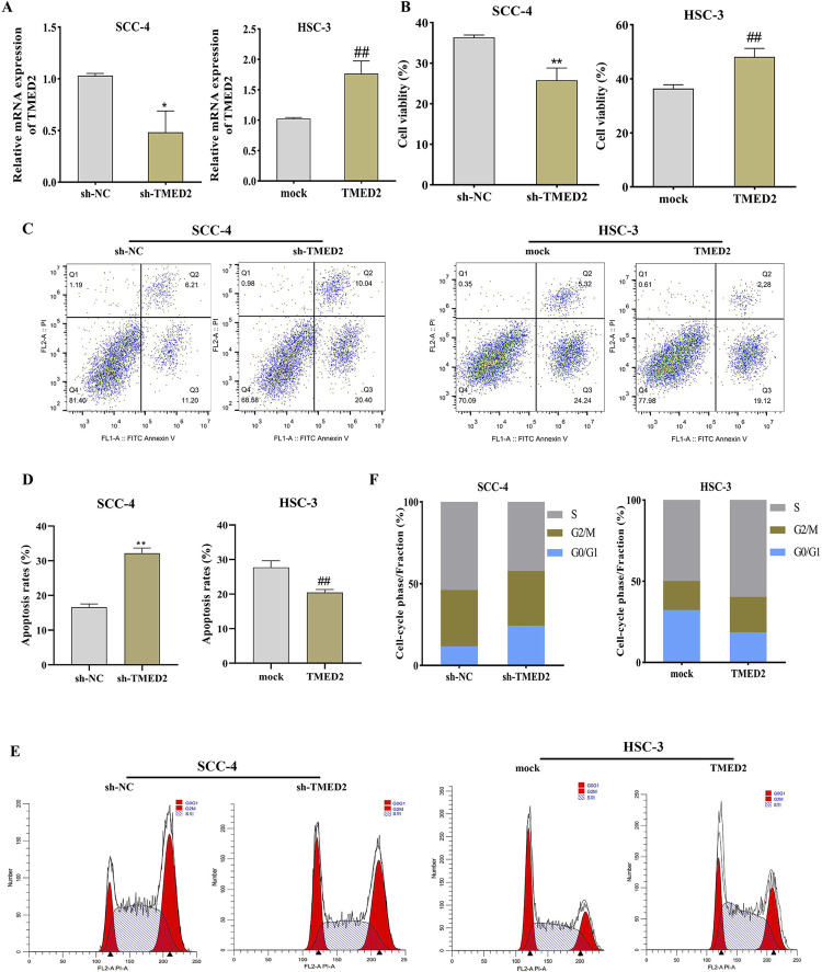 Study of the role of transmembrane emp24 domain-containing protein 2 in oral squamous cell carcinoma.