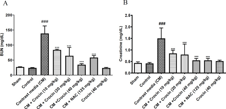 Evaluating the effect of crocin on contrast-induced nephropathy in rats.