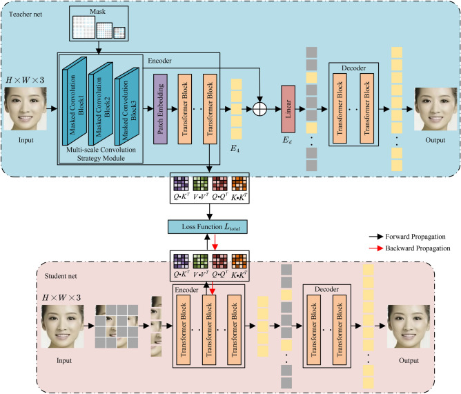 Masked autoencoder of multi-scale convolution strategy combined with knowledge distillation for facial beauty prediction.