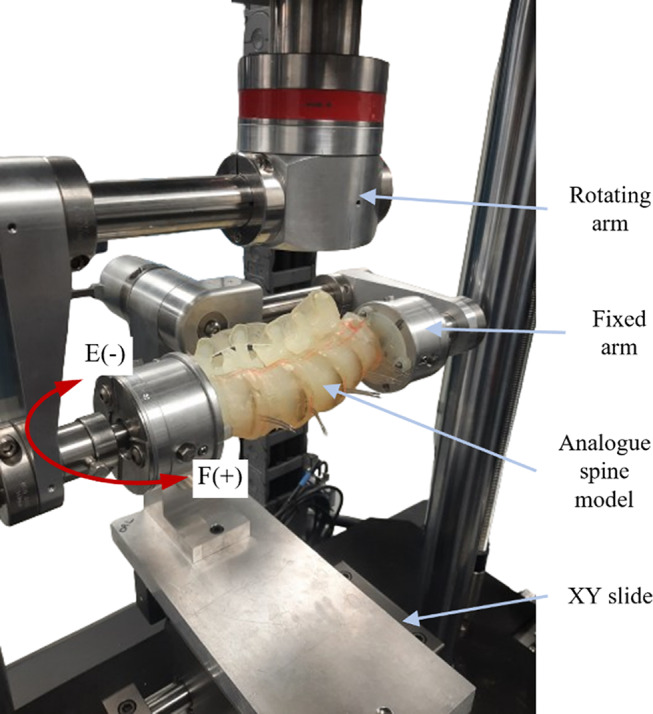 Development and biomechanical evaluation of a 3D printed analogue of the human lumbar spine.