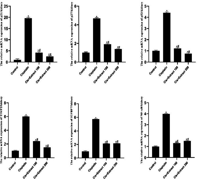 Protective effect of Panax ginseng extract on cisplatin-induced AKI via downregulating cell death associated genes.