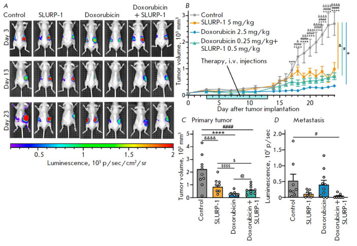 Combination with a Low Dose of Doxorubicin Further Boosts the Antitumor Effect of SLURP-1 In Vivo and Associates with EGFR Down-Regulation.