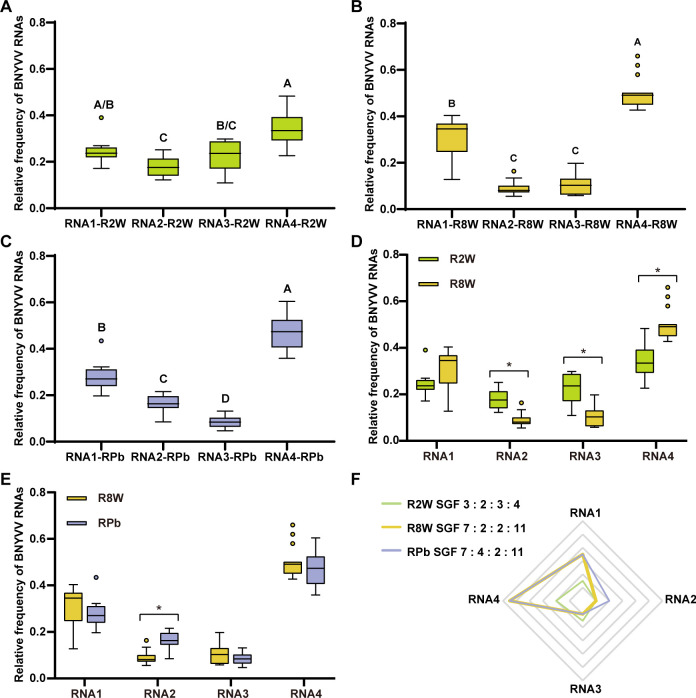 Relative frequency dynamics and loading of beet necrotic yellow vein virus genomic RNAs during the acquisition by its vector <i>Polymyxa betae</i>.