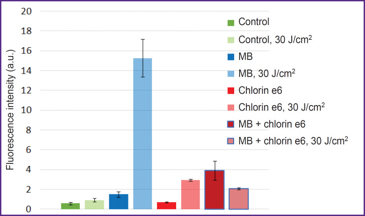 Simultaneous Application of Methylene Blue and Chlorin e6 Photosensitizers: Investigation on a Cell Culture.