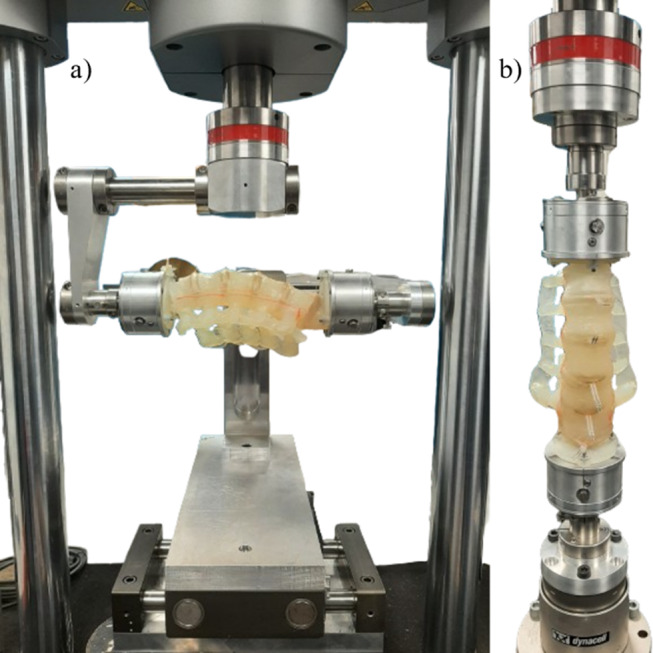 Development and biomechanical evaluation of a 3D printed analogue of the human lumbar spine.