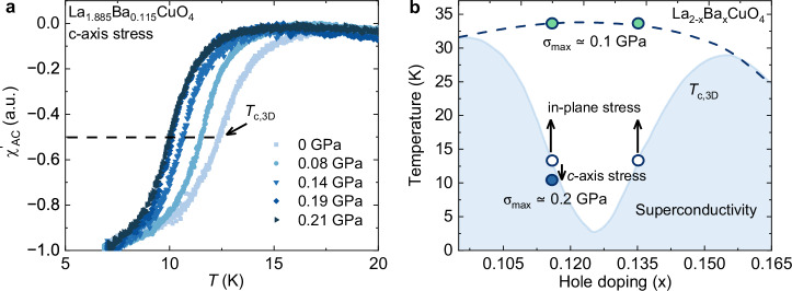 Contrasting <i>c</i>-axis and in-plane uniaxial stress effects on superconductivity and stripe order in La<sub>1.885</sub>Ba<sub>0.115</sub>CuO<sub>4</sub>.