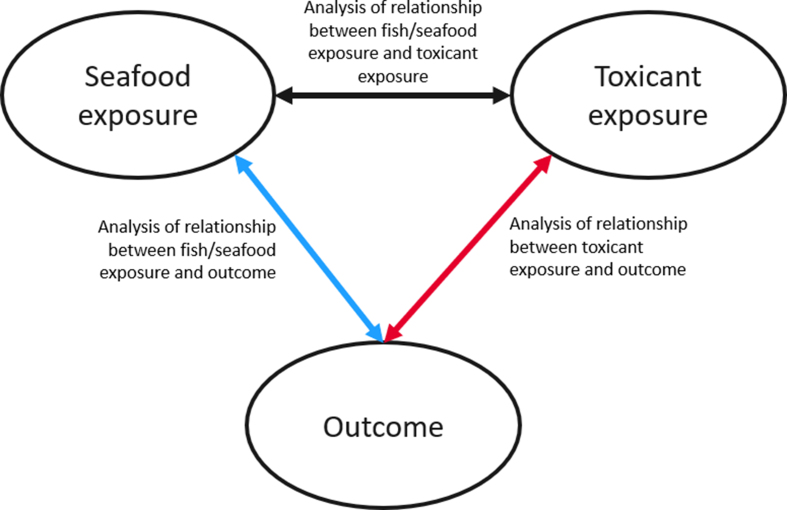 Seafood Toxicant Exposure During Pregnancy, Lactation, and Childhood and Child Outcomes: A Scoping Review