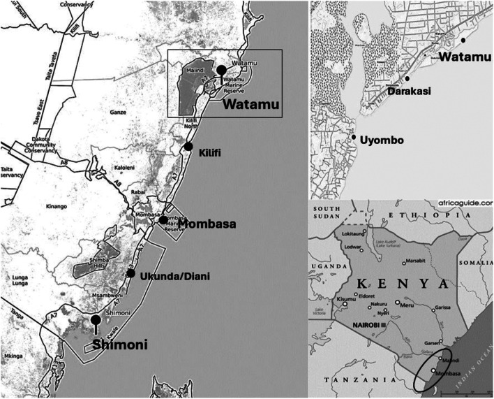 Food, power and agency: revealing local post-harvest fisheries practices to improve food access from small-scale fisheries in coastal Kenya.