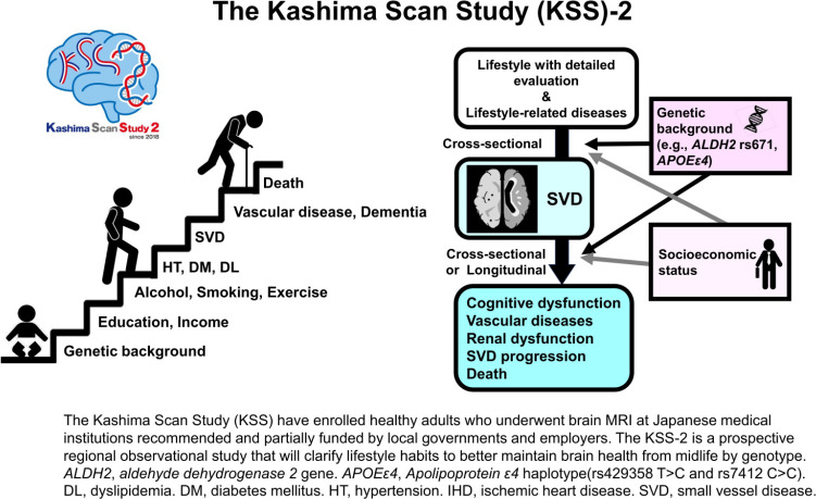 The Kashima Scan Study 2: a protocol for a prospective observational cohort study of cerebral small vessel disease in neurologically healthy adults.