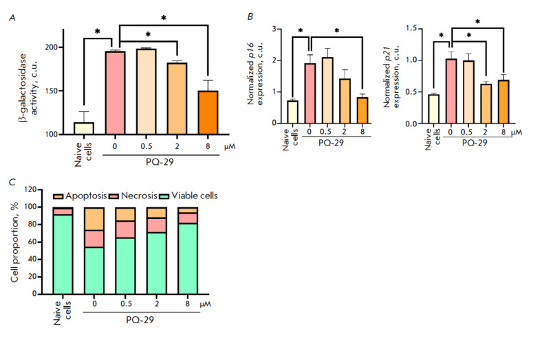 Induction of Chaperone Synthesis in Human Neuronal Cells Blocks Oxidative Stress-Induced Aging.