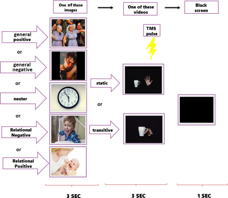 Relational Impact of Emotional Stimuli on Putative Mirror Neuron Activity: A Transcranial Magnetic Stimulation Study.